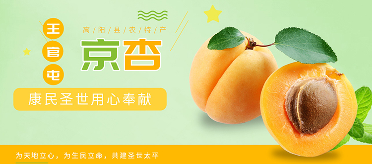 大同市康民商贸有限公司