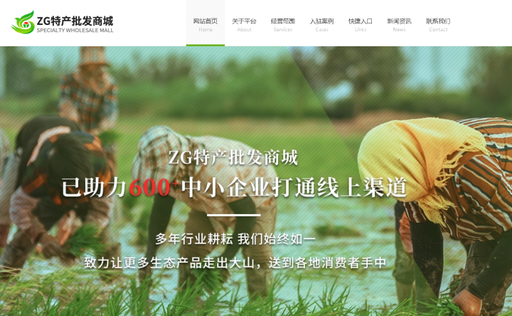 ZG特产批发商城