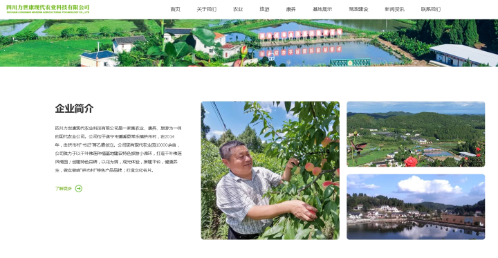 官方网站