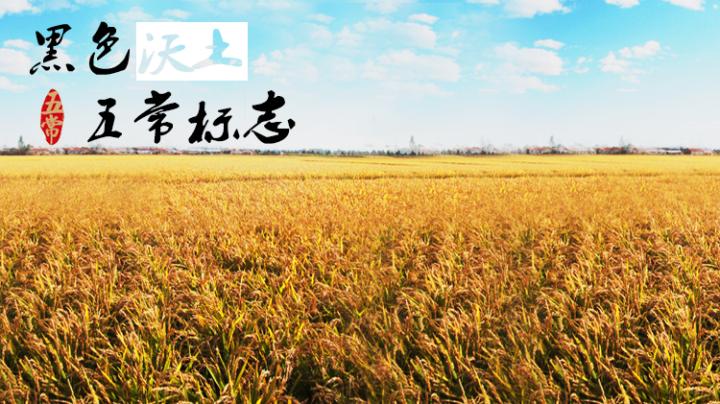 五常黑土地